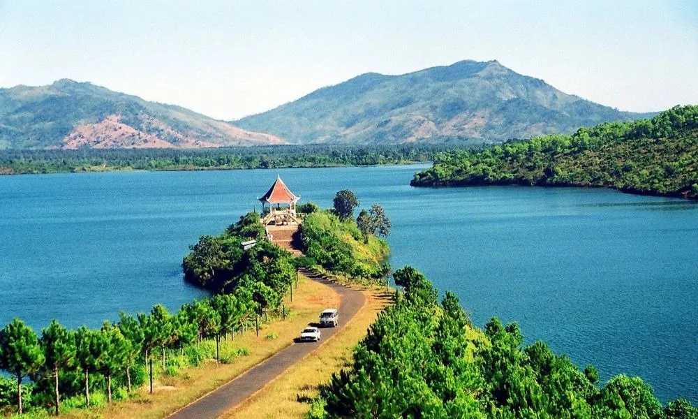 weed in pleiku, vietnam