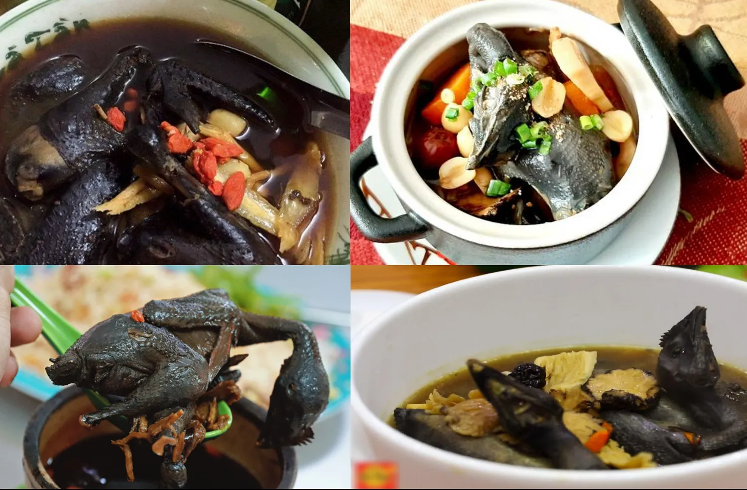 사파 블랙 치킨 – 맛있고 영양이 풍부한 전문 | iGuide, image size:1500x983